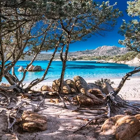 Familyhouse Pevero Hill Porto Cervo